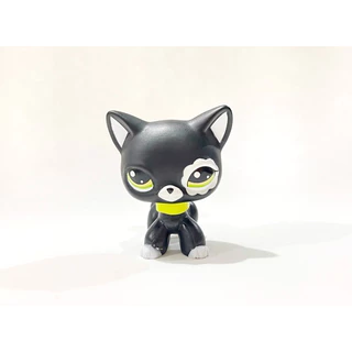 Littlest Pet Shop Short Hair Similar e Colar - Com Defeito