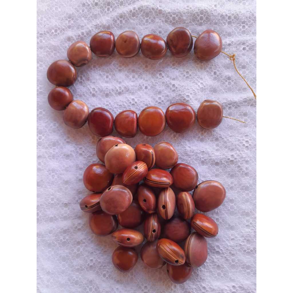 Semente para colar brinco terços do Mucunã também conhecido como Olho de Boi na COR marrom e preta original da semente POLIDA E FURADA 200 e 400 serve para Amuleto, pingente e ornamentos