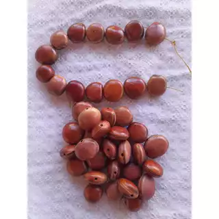 Semente para colar brinco terços do Mucunã também conhecido como Olho de Boi na COR marrom e preta original da semente POLIDA E FURADA 200 e 400 serve para Amuleto, pingente e ornamentos