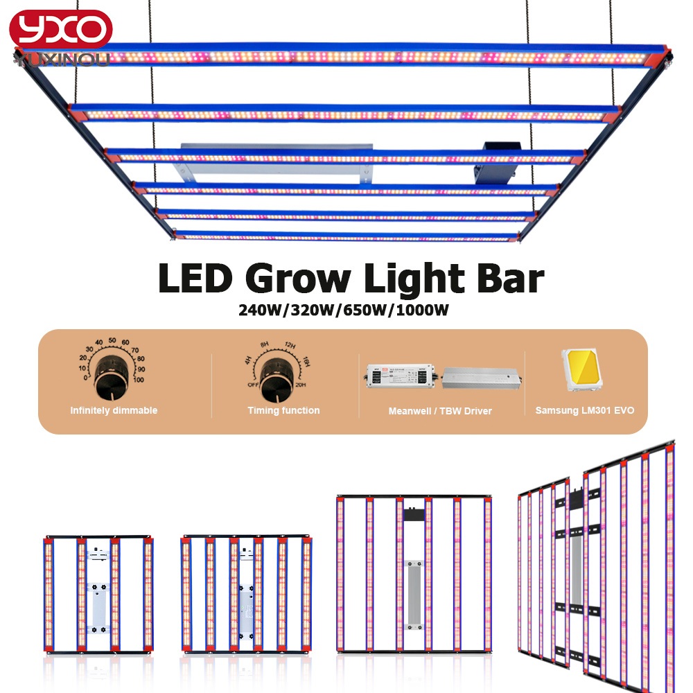 10000w/650W/320W/240W Led grow light LM301H EVO Placa Quântica Dimerizável Phytolamp Para Plantas De Interior Crescem Tenda