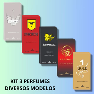 Perfume Masculino Importado 100ml Alta Fixação Kit com 3 Unidades