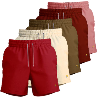 Kit 5 Shorts de Linho Masculino Bermuda Linho Cru Premium Para Moda Praia Verão