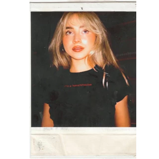 Baby tee bordada "i'm a homewrecker" Sabrina