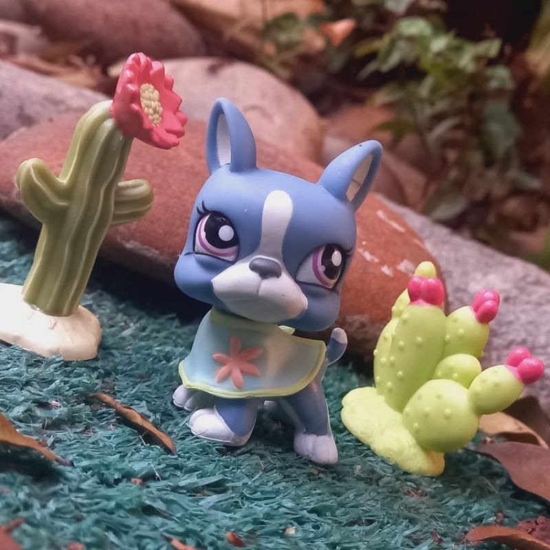 Littlest Pet Shop Boston terrier+ acessório