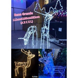 Rena Decorativa Natalina Macho/ Femea ( GRANDE BIVOLT ) Mangueira LED 110V/ 220V