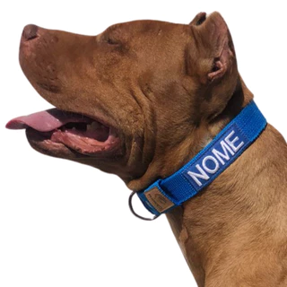 Coleira slim personalizada forte para cachorro de médio e grande porte.