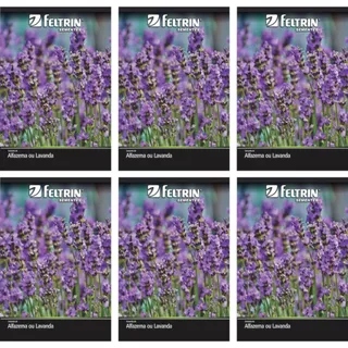 Kit 6 Semente de Alfazema Lavanda Verdadeira Flor Planta Jardim