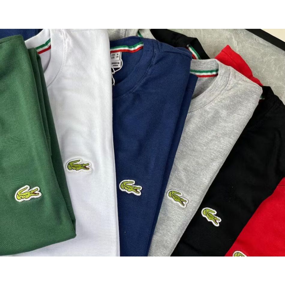 Camiseta Masculina Camisa P ao G5 Plus Size Blusa Varias Cores Algodão Malha Importada Envio Rápido a Todo Brasil