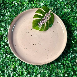 PRATO CERAMICO ROSÊ CLARO COM BORDA RASO 26 CM