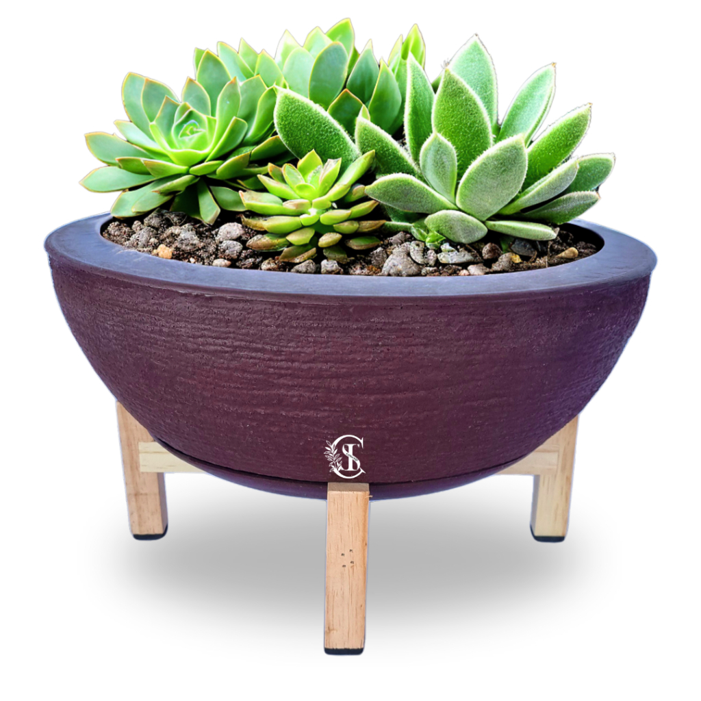 Kit 1 Bacia Polietileno Rosa do Deserto P/plantas ou Flores + 1 Suporte Madeira Pinus