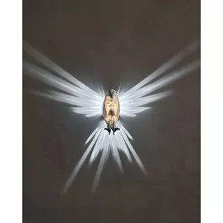 Luminária de parede - Águia