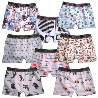Kit 10 Cuecas Box Boxer Infantil Estampada 100% Algodão.
