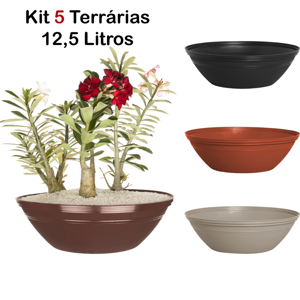 Kit 5 Vasos Terrários Suculentas Cactos 12,5 L Plantas Diversas Temperos e Mudas Hortaliças