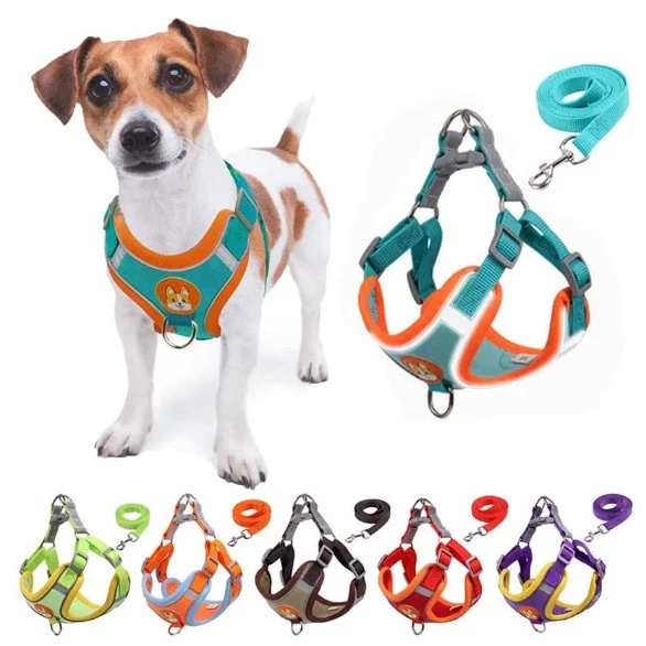 Coleira Peitoral com Guia para Cães e Gatos - Pool de Ofertas