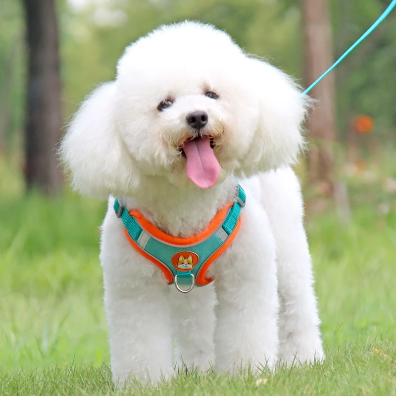Coleira Tipo Colete para Cachorro - Pool de Ofertas