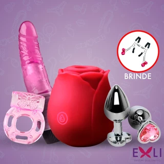 Kit Vibrador Feminino Rosa Sugador de Clitóris Recarregável Consolo Plug Anal M Sex Shop Love Rose