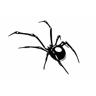 ADESIVO DE  ARANH   PARA MOTOS , TANQUE DE MOTO, CAPACETES em Oferta na Shopee