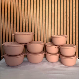 KIT BOWL COM ALÇA 10 PEÇAS ( 05 POTES 1 LITRO +05 POTES 500 ML)