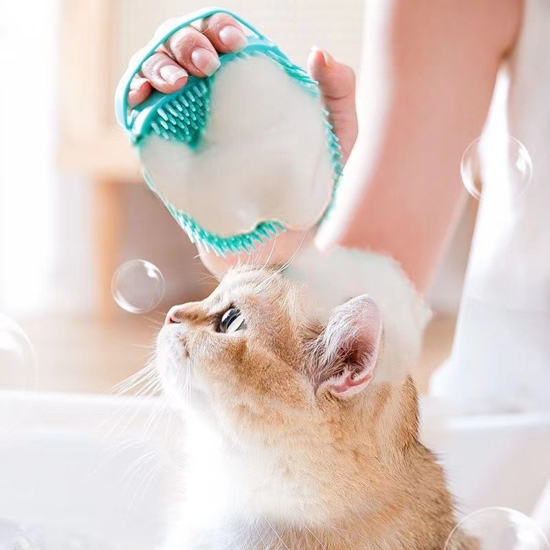 Para Cães e Gatos