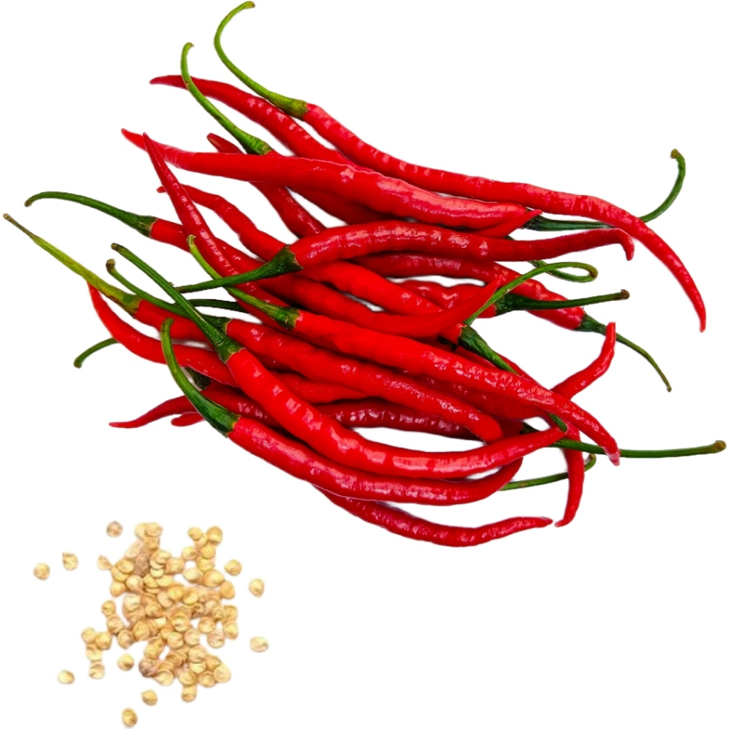 Vestido Malagueta na Black Friday 2025 | BuscaProdutos