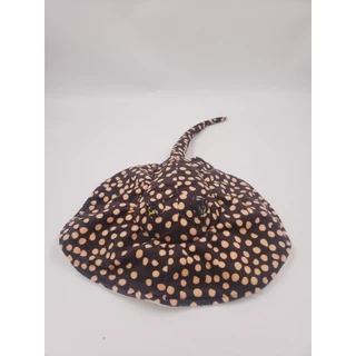 Arraia de Água Doce