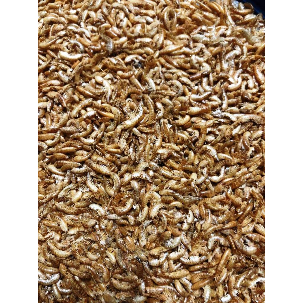 Gammarus Importado Desidratado 100g | Shopee Brasil