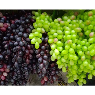 2 Cahos De Uvas Grande 23cm Frutas Tamanho Real Simulação Decorativas Uva Artificial