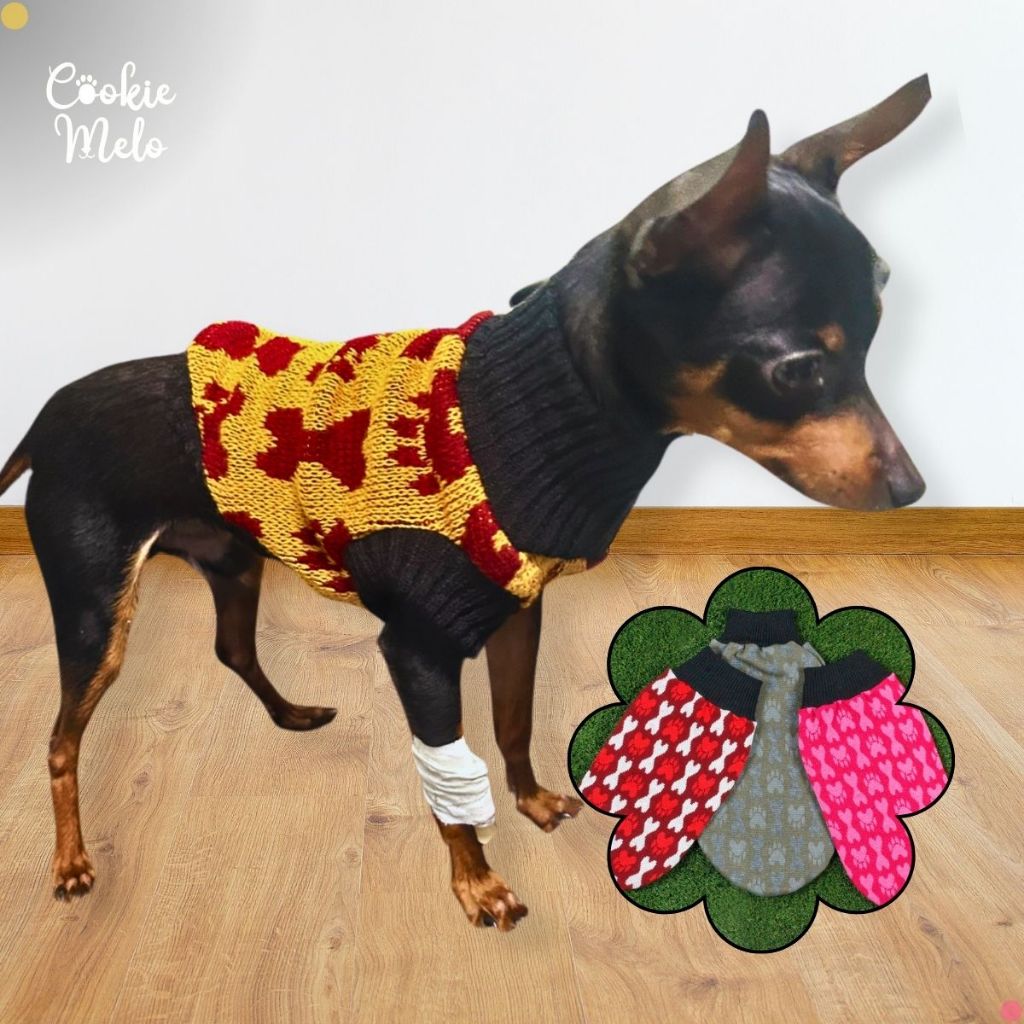 Kit 2 Roupa Pet Para Pinscher 0 e 1 Raça Mini Bem Pequeno Filhote ...