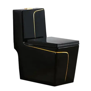 Vaso Sanitário Monobloco Acoplada Premium Luxo Branco Dourado