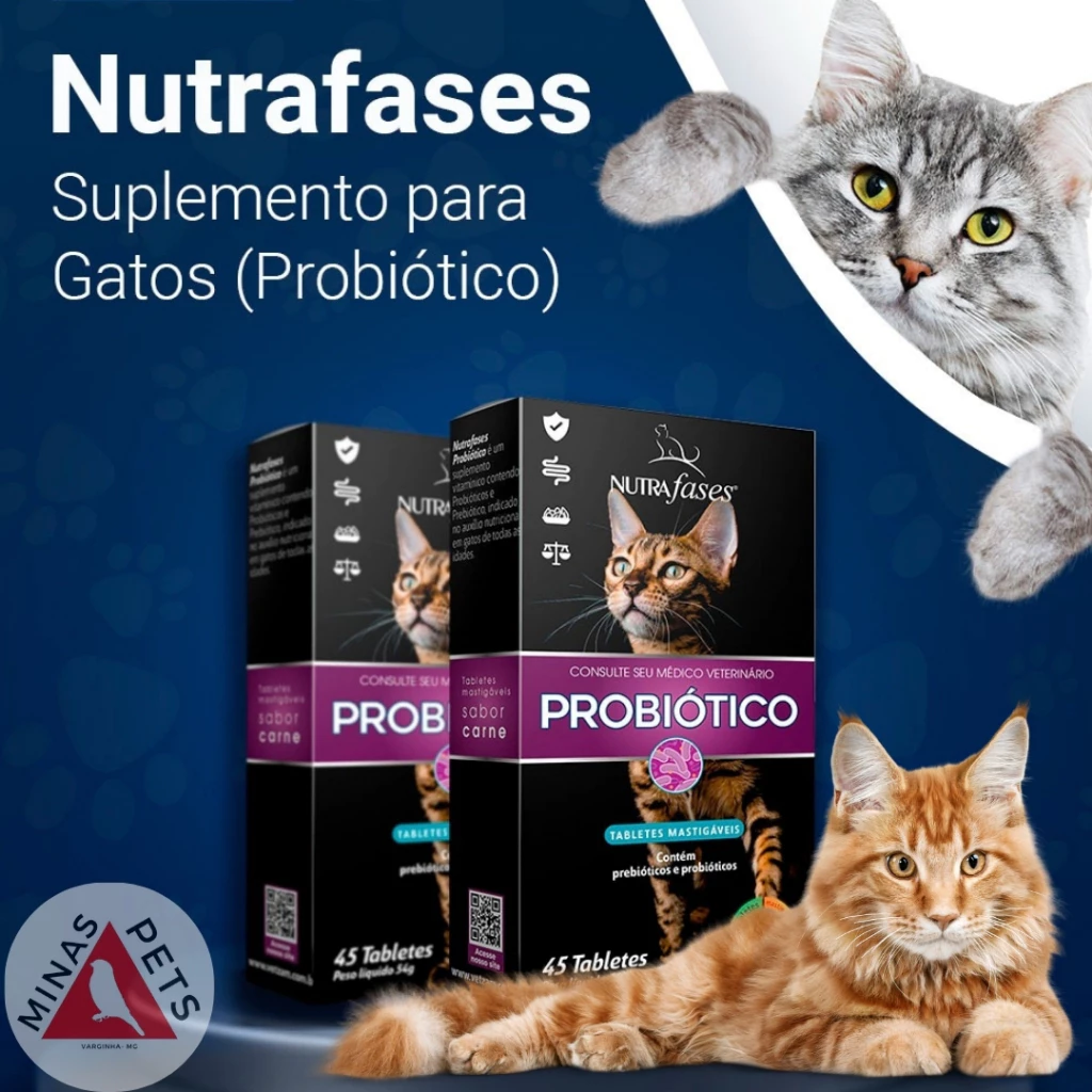 suplemento taurina gatos