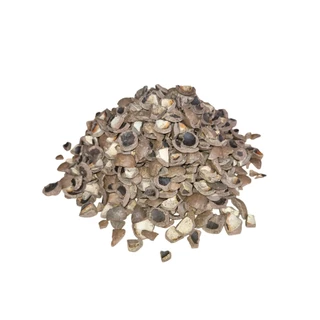 10kg Casca de Macadâmia substrato para Orquídeas