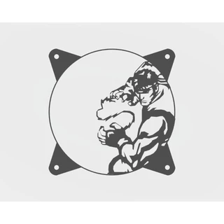 Grade Fan / Fan Grid Street Fighter Ryu