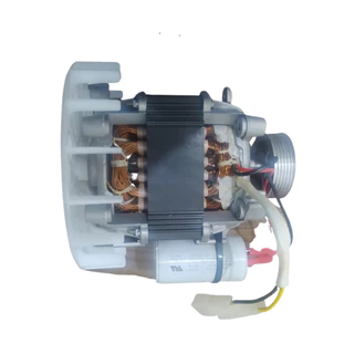 MOTOR TANQUINHO MUELLER PLUS