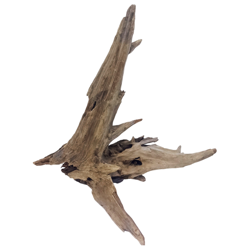 Tronco Natural para Decoração de Aquario Terrário e Lago - Artigos para aquário