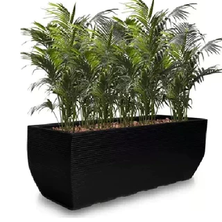 Kit 2 Vasos De Planta Jardineira Bonsai Suculenta Polietileno M