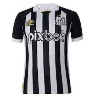 Camisa Camiseta do Time do Santos Listrado 2024/25