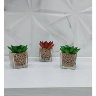 3 Arranjos Cactos Suculentas Artificiais Decoração Casa Montado Pronto Pra Decorar Home