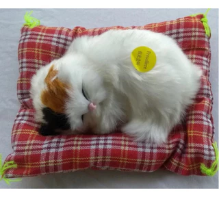 Gatos Peludos Filhotes na Black Friday 2025 | BuscaProdutos