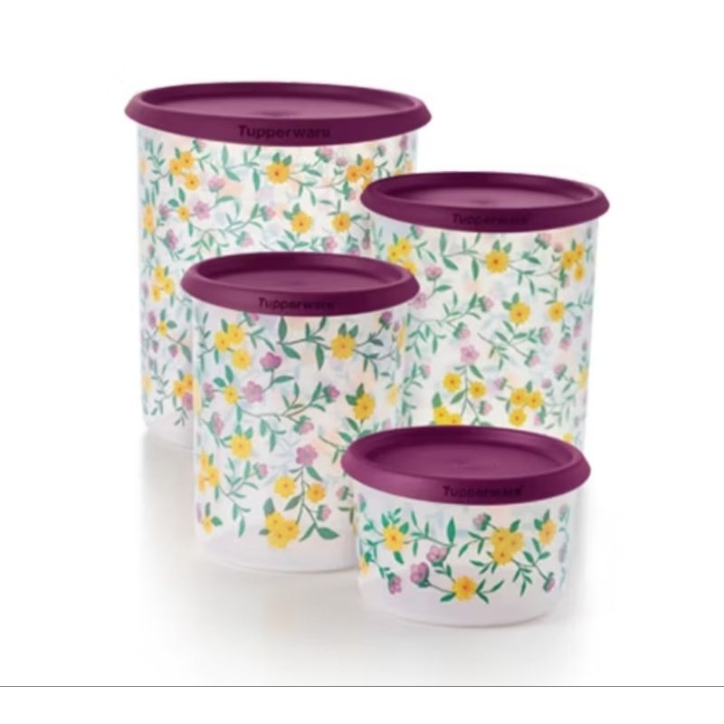 Kit Tupperware Instantânea Mágica Desabrochar 4 peças | Shopee Brasil