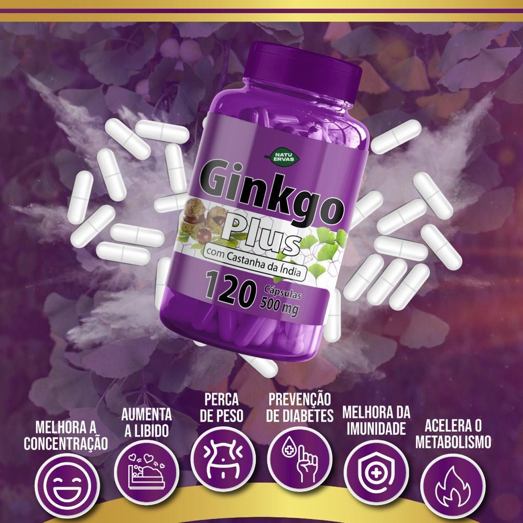 Ginkgo Biloba c/ Cast.-da-india 120capsulas 500mg
