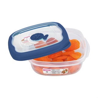 Pote Hermético Quadrado Tampa Flor Plástico 458ml 664ml 920ml e 1100mlCom válvula de vapor Sanremo