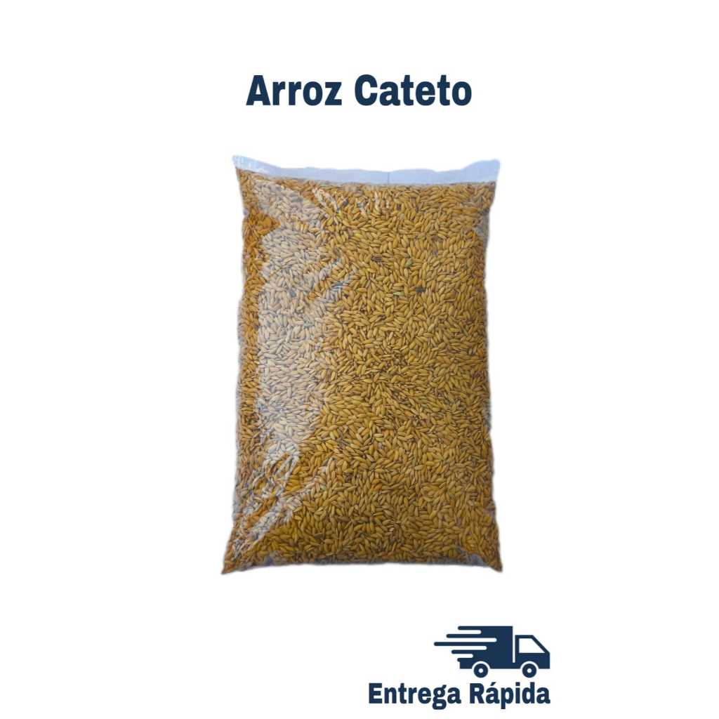 Arroz Cateto > 1Kg 2Kg Kg - Excelente Qualidade | Shopee Brasil