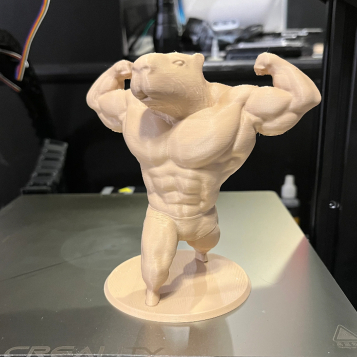 Estátua Decorativa Capivara Bodybuilder Bombada | Shopee Brasil