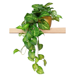 Vaso Decorativo Com Folhagem Artificial Pendente Decoração Sala, Escritório Home Decor