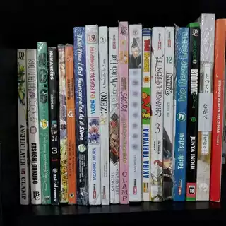 Mangás Avulsos a partir de R$11,50 (Novos e Usados)