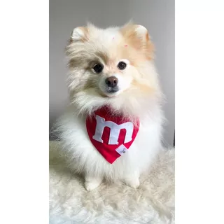 Bandana para Pet M&Ms VERMELHO Dupla Face com Botão de Pressão Animaliê