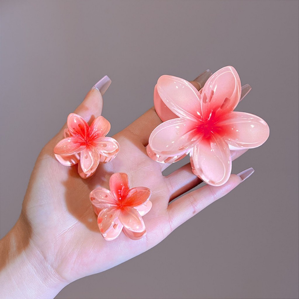 Kit Piranha De Flor Garra Para Cabelo Grampo De Flor Praia