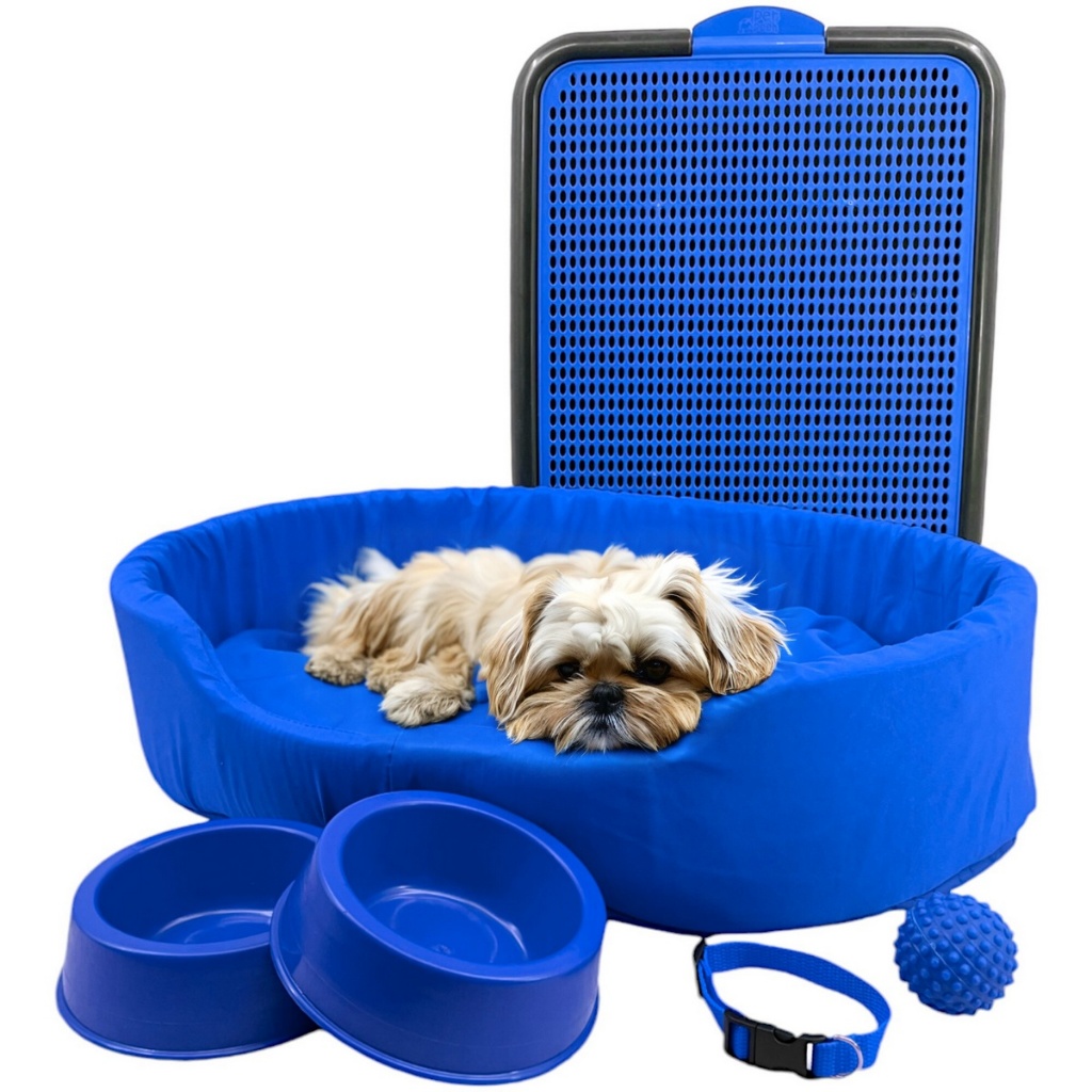 Kit Pet Médio Cama Europa Sanitário Comedouro Coleira Bola