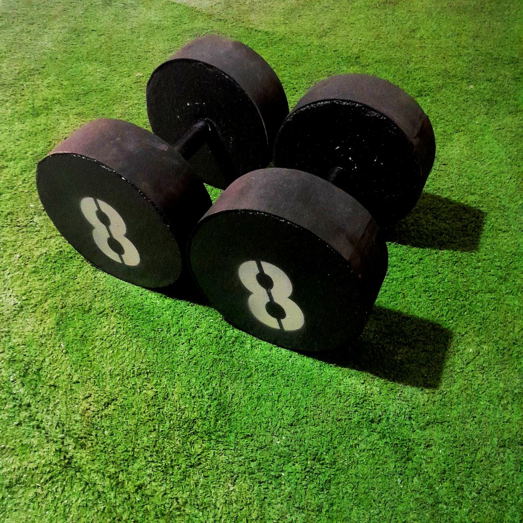 Halteres de 8 KG (2 Unidades) | Shopee Brasil