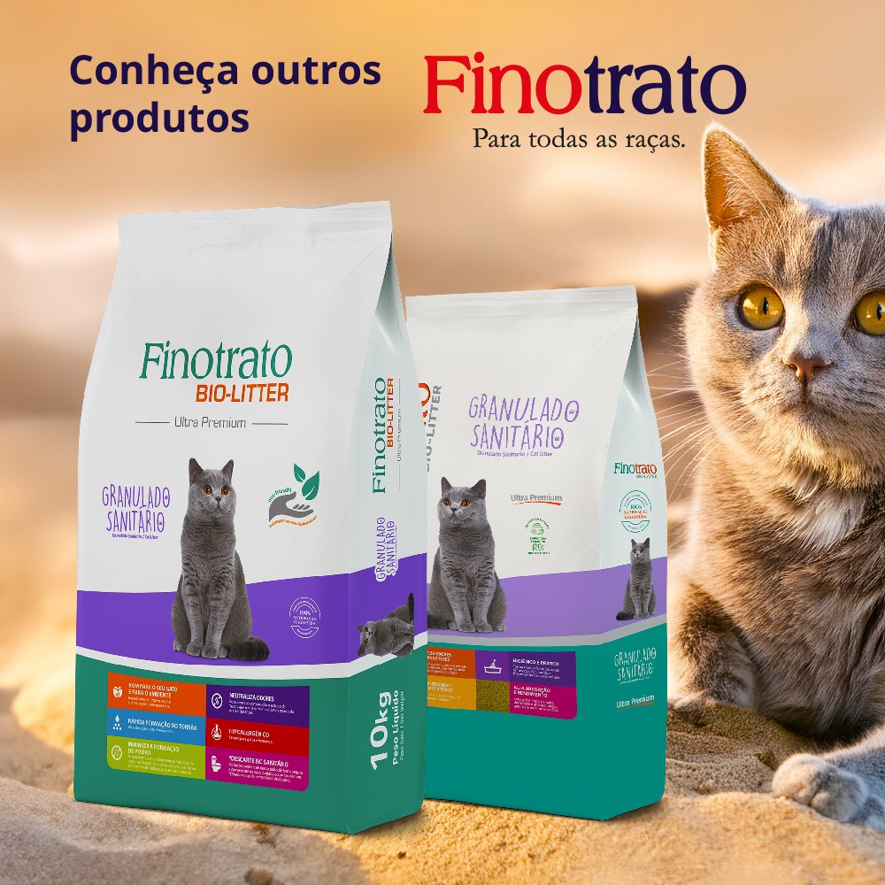 Jogo Casquilho Fixo 1mm Gm Omega 3.6 24v V6 2008 A 2012